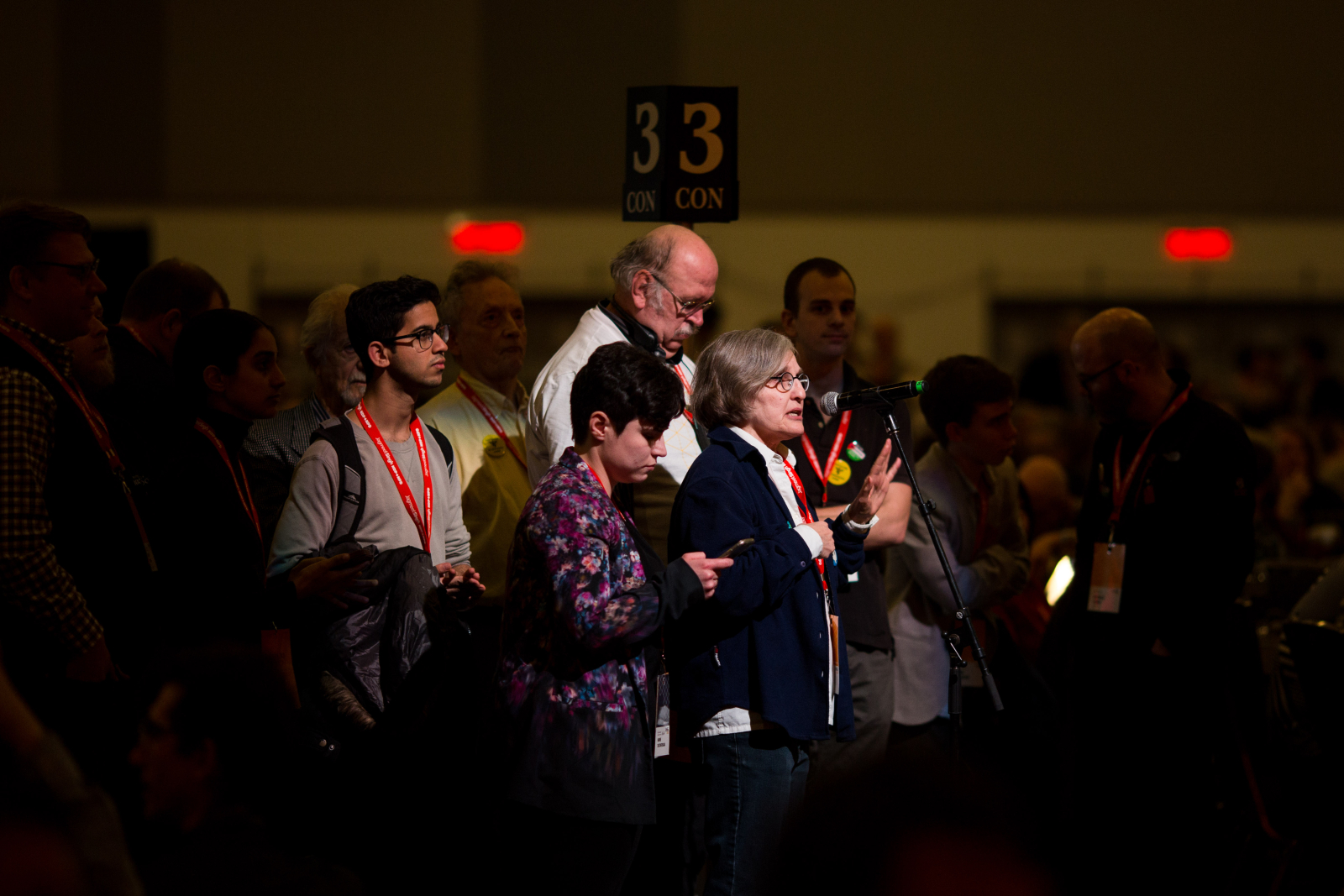 Delegates respond to resolutions at the NDP's national convention on Feb. 16, 2018. Photo by Alex Tétreault