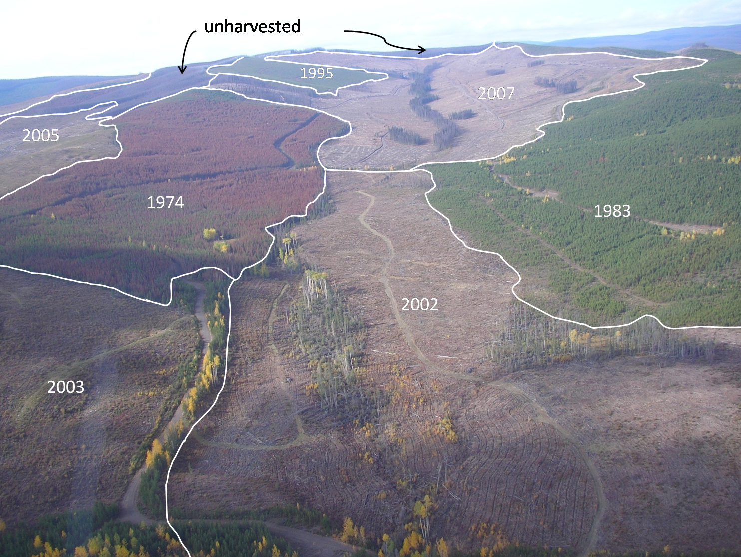A picture of a 600-hectare portion of forest, included in a 2009 report, is marked up to show dates of harvest. Illustration provided by the B.C. Forest Practices Board