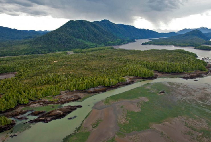 Lelu Island, Prince Rupert, Petronas, Pacific NorthWest LNG, Brian Huntington, Ocean Ecology, LNG in B.C. 