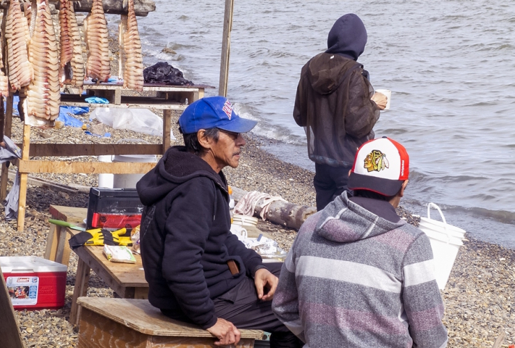 Whaling camp, Dempster Highway, Northwest Territories, Tuktoyaktuk, Dave Bidini