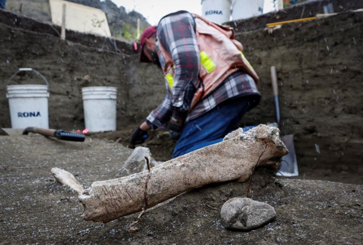 bones, Alberta, First Nations, flooding