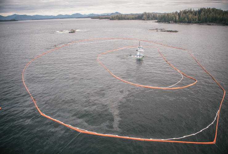 Bella Bella, Great Bear Rainforest, Heiltsuk First Nation, Seaforth Channel