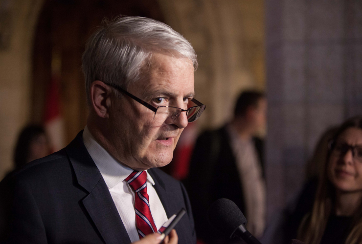 Marc Garneau, airline security, Transport Canada, airplanes