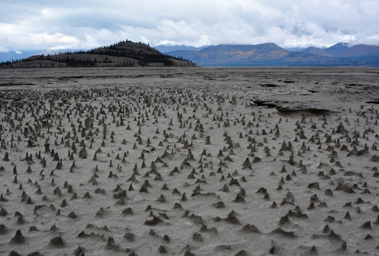 In this photo provided by Jim Best/University of Illinois, taken in 2016, sections of the newly exposed, once under water, bed of Kluane Lake contain small pinnacles.