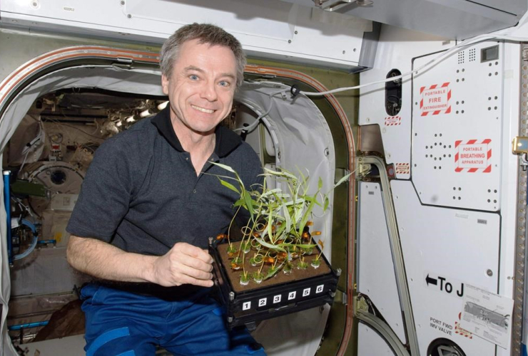 Canadian astronaut Bob Thirsk holds plants while on board the International Space Station in this handout photo.