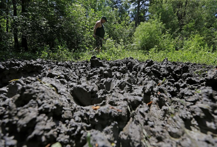 In this June 17, 2014 file photo, John Schmidt, a wildlife trapper, walks past damage from feral hogs that happened overnight while foraging near one of his traps in New Orleans.