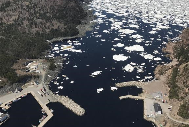 The port of La Scie, N.L. is shown in a handout photo taken from the CCGS Amundsen helicopter on June 8, 2017.