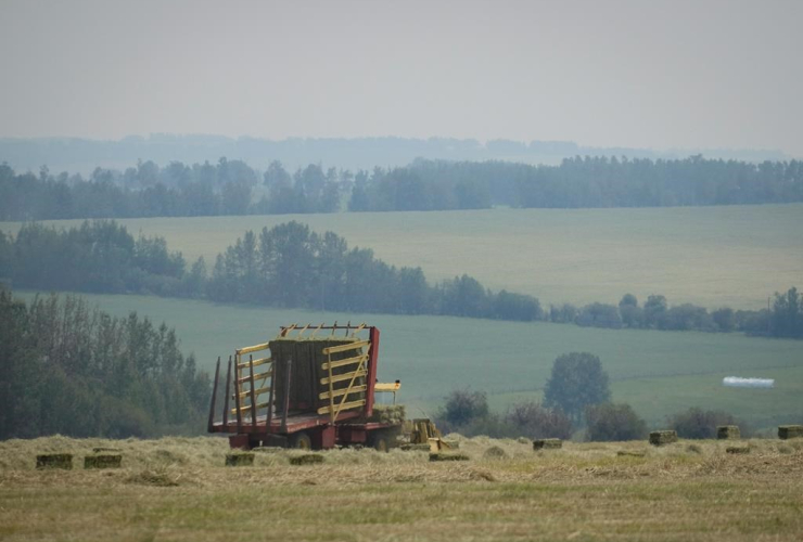 wildfire, smoke, Alberta, British Columbia, forest fires, farmer Grant Bird, Cremona