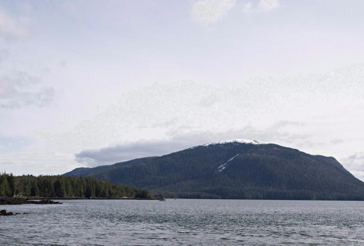 Lelu Island, near Prince Rupert, B.C., was the proposed site of the Pacific Northwest LNG project, backed by the Malaysian energy company Petronas. File photo by The Canadian Press/Robin Rowland