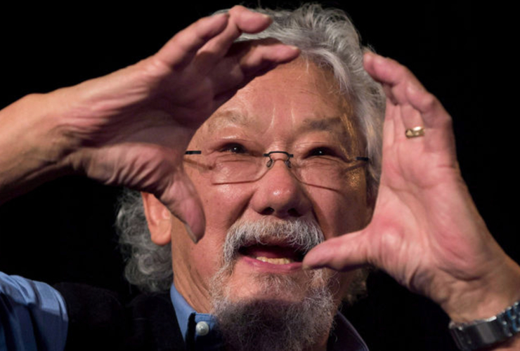 David Suzuki, David Suzuki Foundation, The Nature of Things