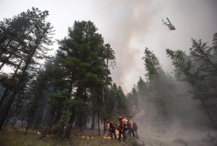 helicopter, water, fire guard line,  B.C. Wildfire Service firefighters, Finlay Creek wildfire, Peachland,