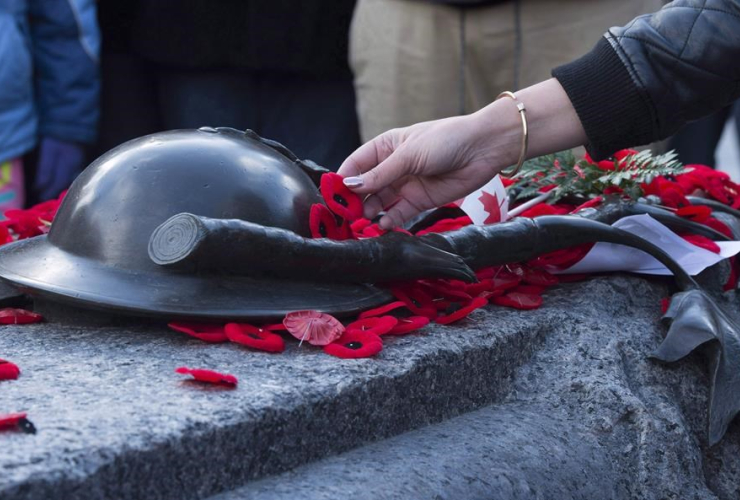 woman, poppy, Tomb, Unknown Soldier, Remembrance Day, National War memorial