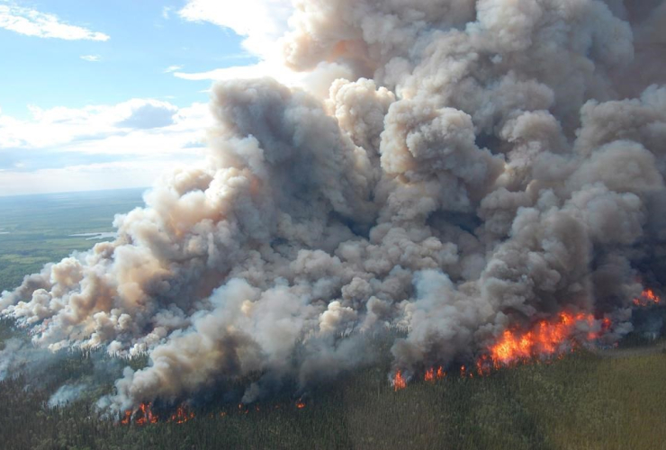 wildfire, boreal forest, Wood Buffalo National Park, 