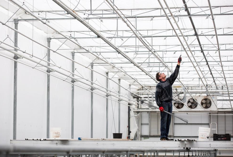 Don Short, overhead irrigation system, greenhouse, Lincoln, 