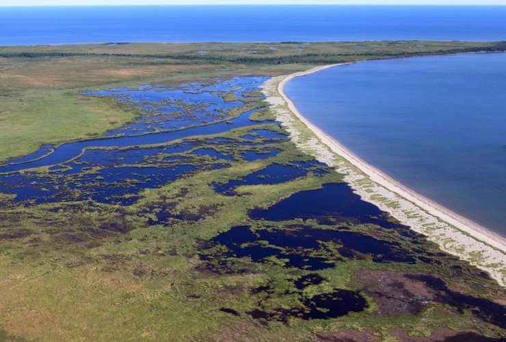 Nature Conservancy of Canada, ecologically significant land, northeastern New Brunswick, 