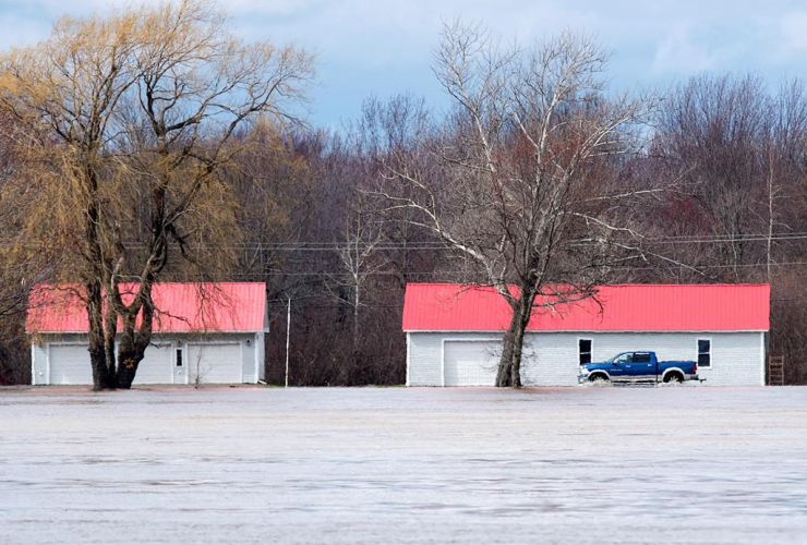 pickup truck, water-covered road, St. John River, Maugerville, 