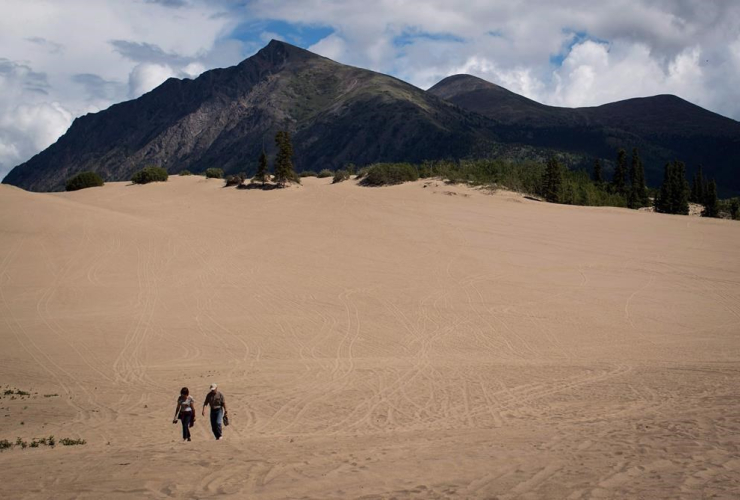 Carcross Dunes, Carcross, Yukon,