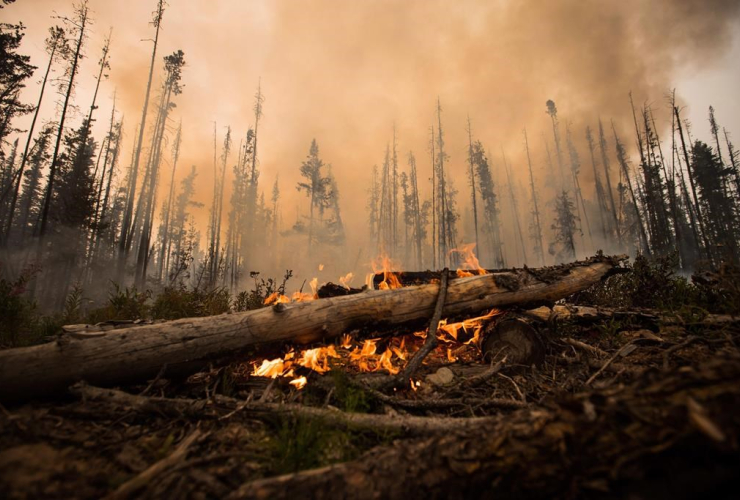 wildfire, Fort St. James, 