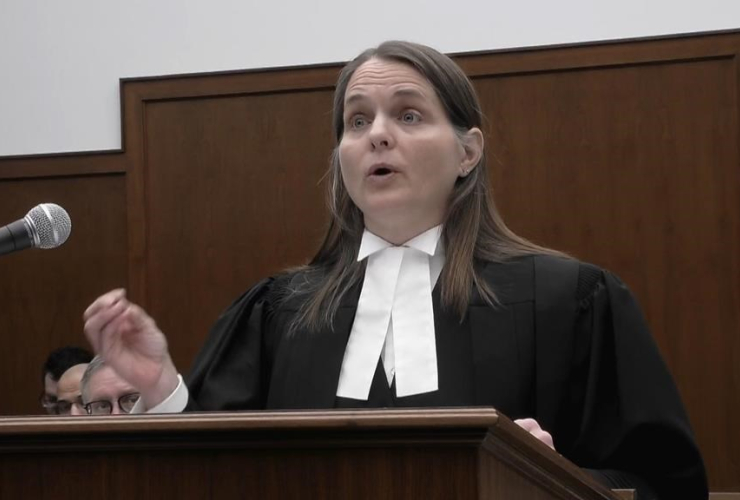 Sharlene Telles-Langdon, Attorney General of Canada, Saskatchewan Court of Appeal, Regina, 