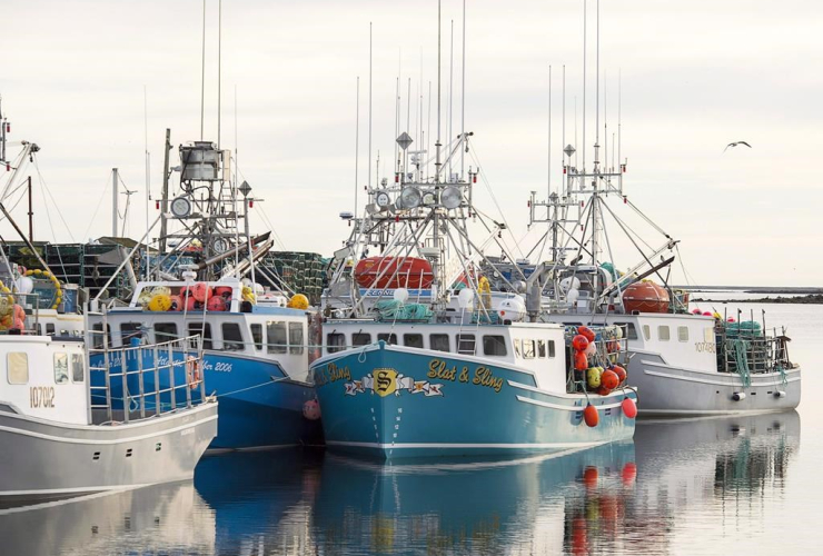 Boats, wharf, Clark's Harbour, 