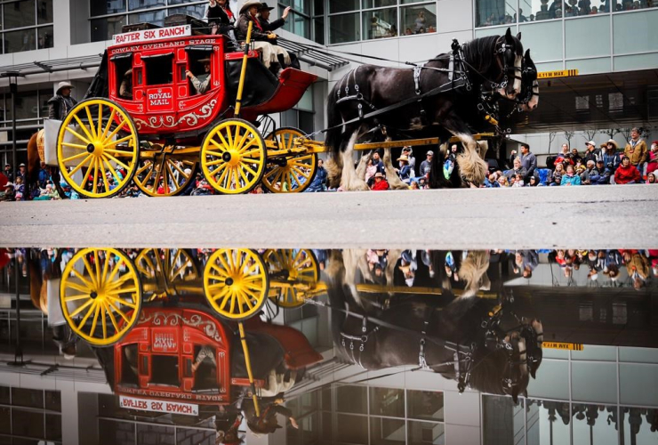 stagecoach, Calgary Stampede parade, Calgary,