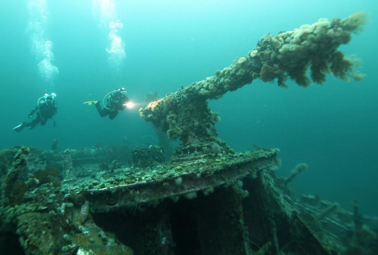 Divers, SS Saganaga, shipwreck, Bell Island, 