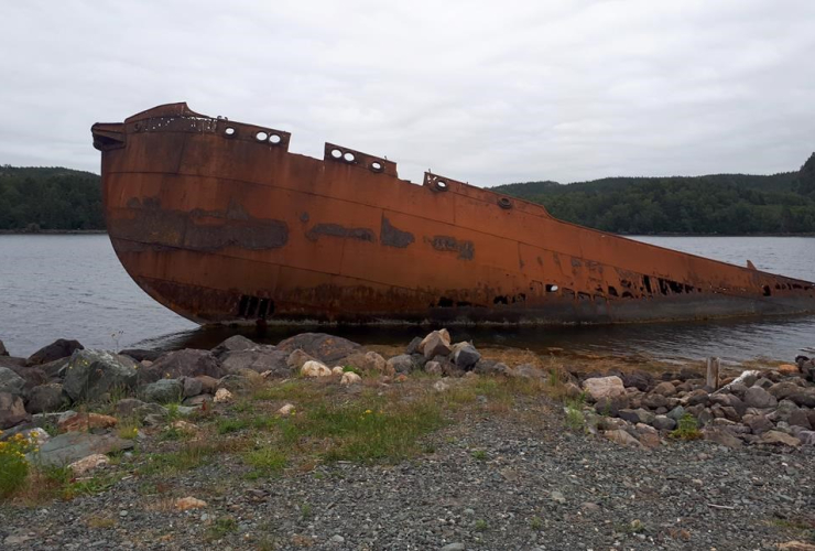 SS Charcot, abandoned whaling ship, Conception Harbour, 