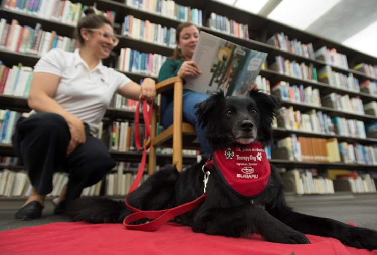 Anna Boekoven, Ashten Black, Saint John Ambulance therapy dogs, dog, Pig, Vancouver Public Library,