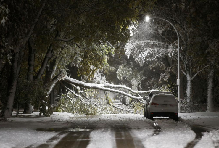 winter storm, wet snow, trees, cars, power lines, Winnipeg,