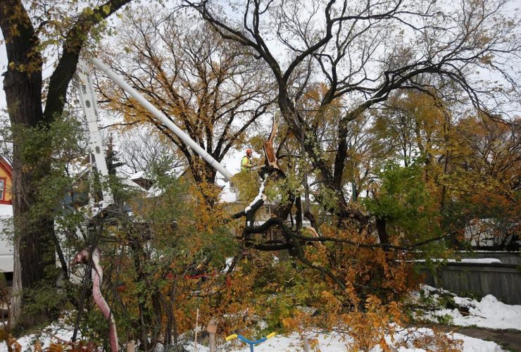 Crews, cleanup, snow storm, Manitoba,