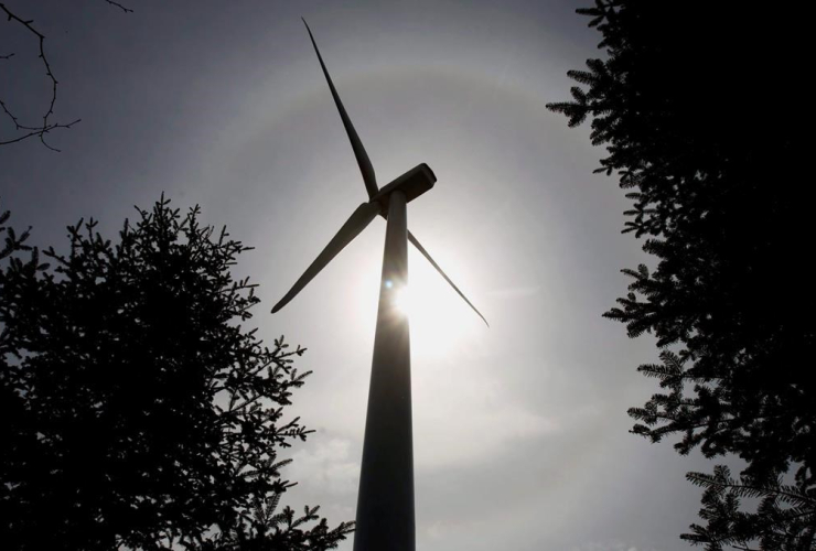 wind turbine, Dalhousie Mountain, 