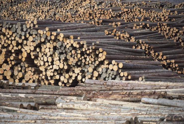 Softwood lumber, Tolko Industries, Heffley Creek, 