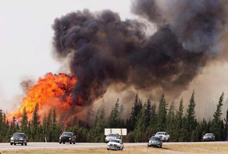 convoy, evacuees, Fort McMurray, Alberta, wildfires,