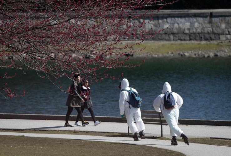 people, wearing, personal protective equipment, respirators, coverall suits, skate, seawall, Stanley Park, Vancouver,