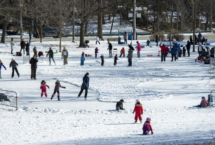 Parents, children, Family Day, ice rink,