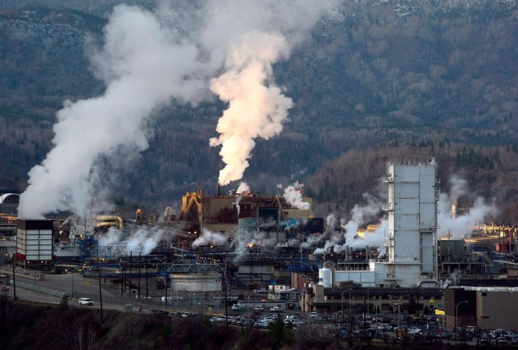 smoke rising above an industrial plant surrounded by trees