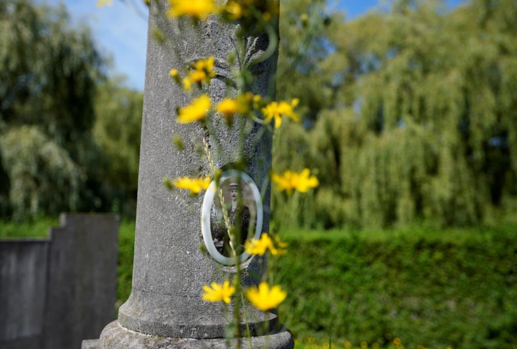 wildflower, grave, Schoonselhof cemetery, Hoboken, Belgium,