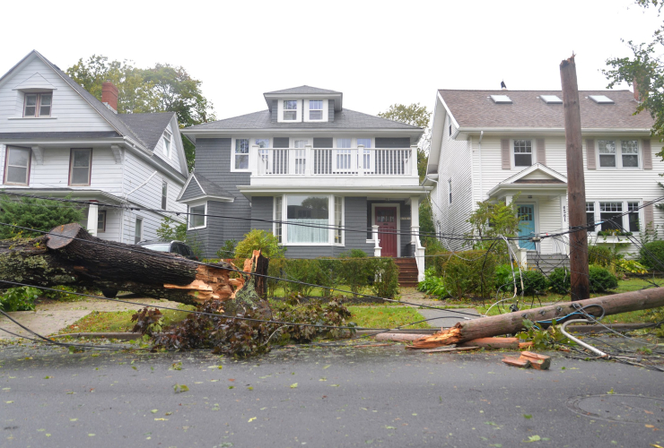 Wires and trees have fallen on Northwood Street.