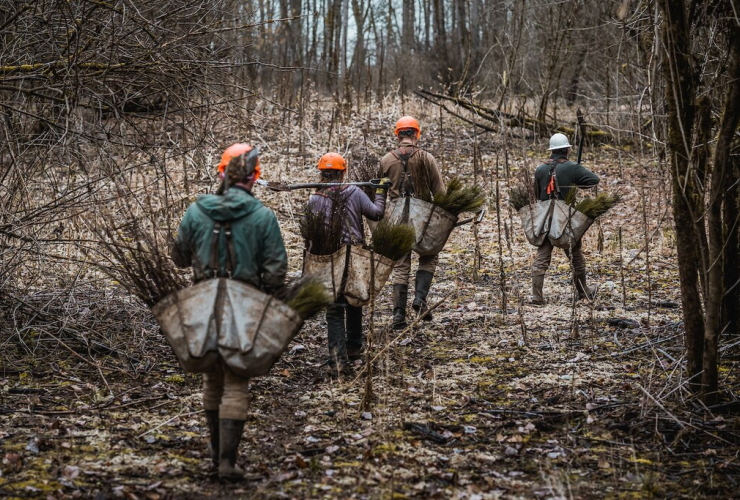 a group of muddy looking people walking through a thin forest carrying bags of tree saplings to be planted