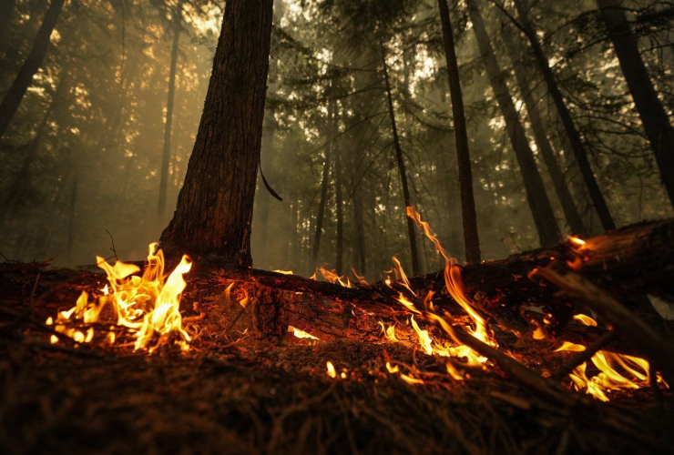 Lower East Adams Lake wildfire, wildfires,