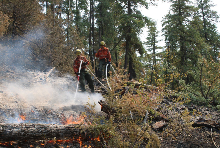 Shetland Creek wildfire,