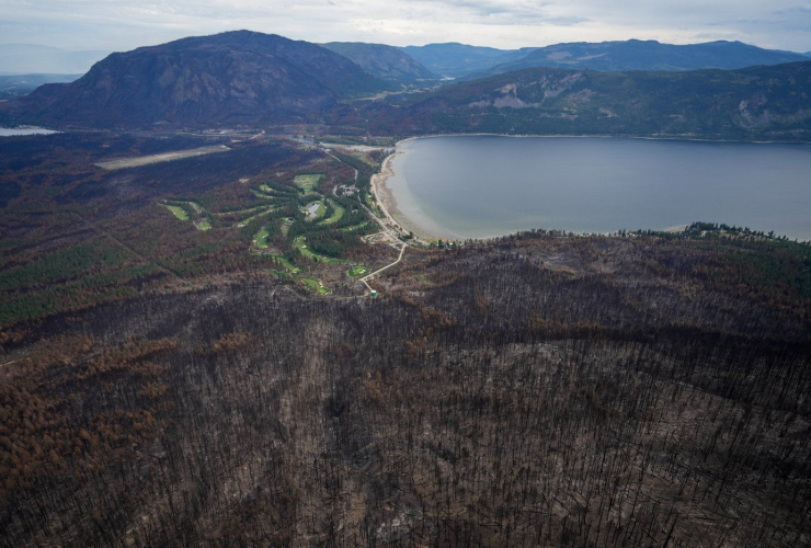 Bush Creek East Wildfire,