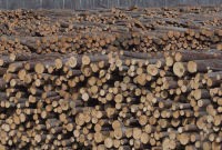 Softwood lumber, Tolko Industries, Heffley Creek, 