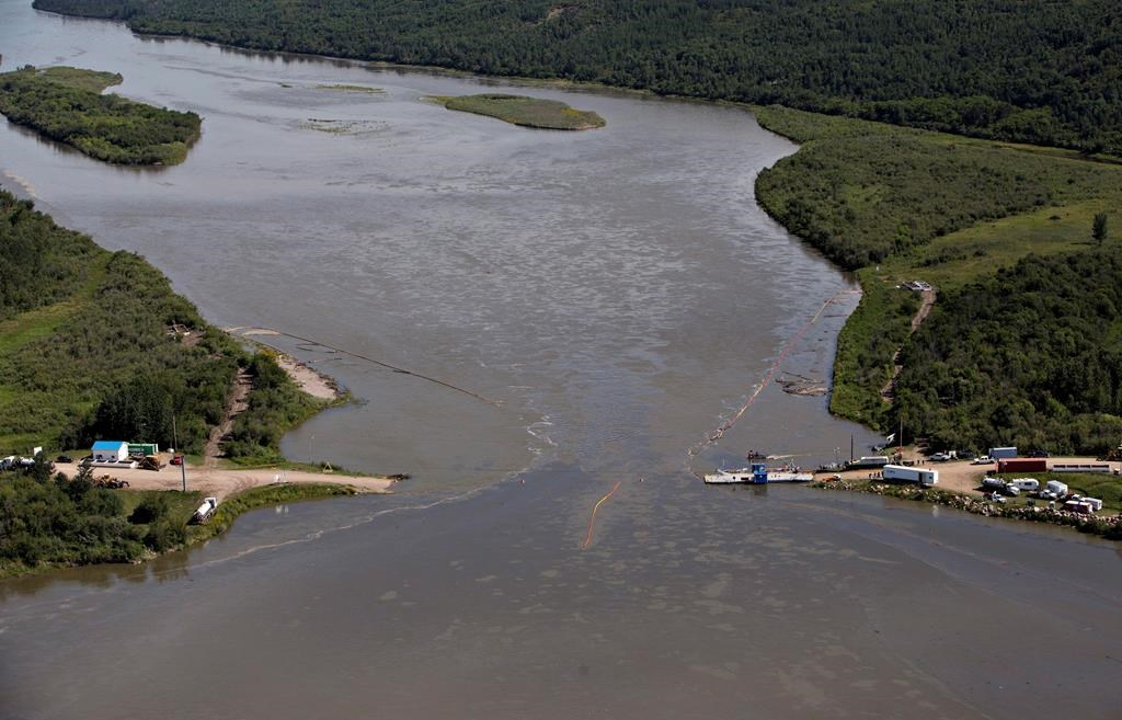 Husky oil spill, Husky Energy, North Saskatchewan river, pipeline spill, wildlife