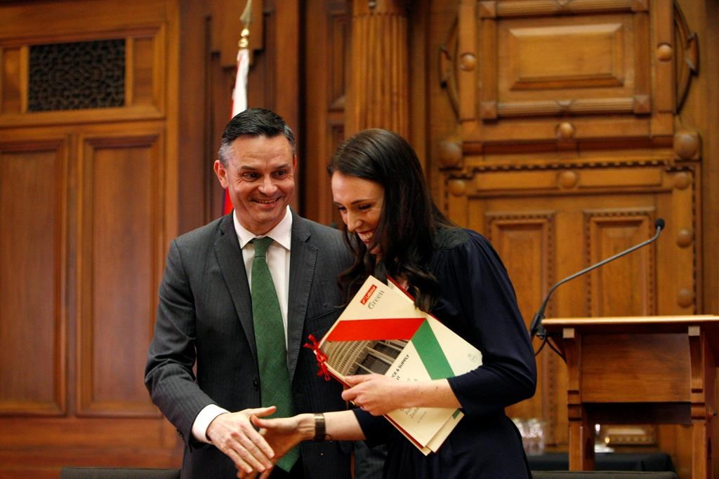 New Zealand, Green Party leader, James Shaw, Prime Minister-designate, Jacinda Ardern, confidence and supply agreement, 