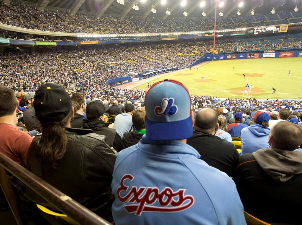 Fans, Montreal Expos, Toronto Blue Jays, baseball game, New York Mets,