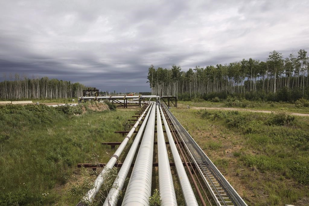 Suncor pipes, MacKay River pad, oil sands, Fort McMurray Alta, 