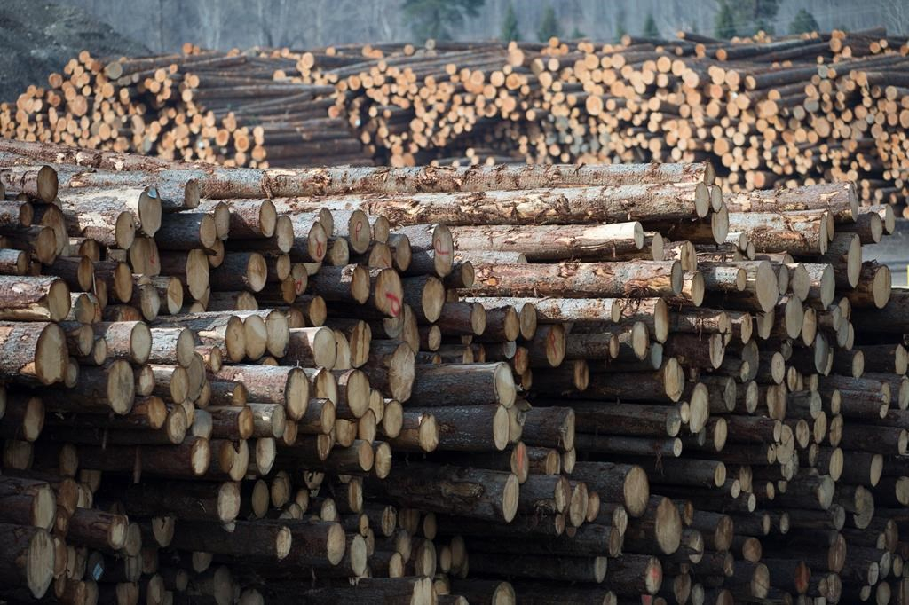 Softwood lumber, Tolko Industries, Heffley Creek, 