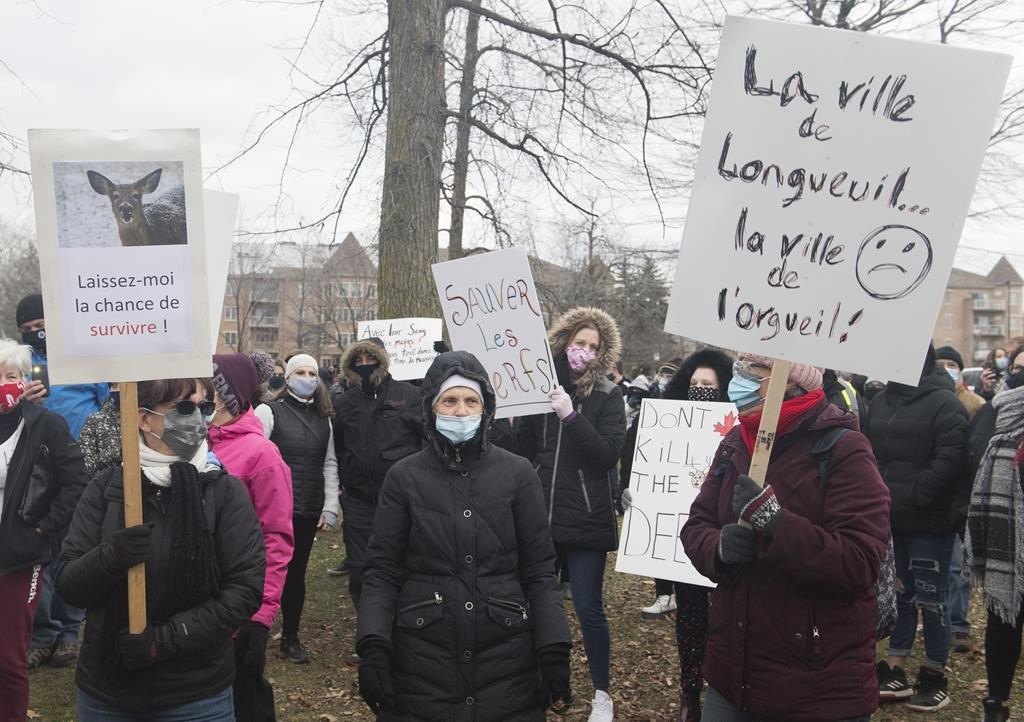 demonstration, protest, culling, white-tailed deer, Michel-Chartrand park, Longueuil, Que.,