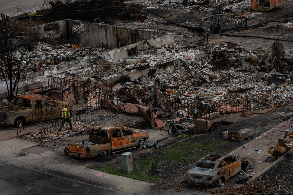 Jasper Wildfire, 